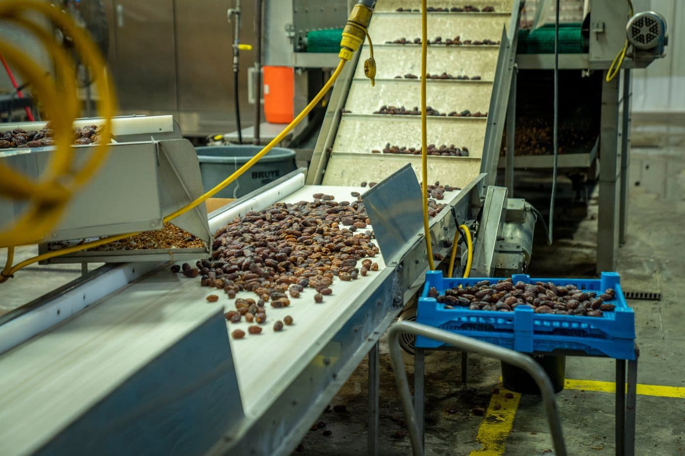 Product moving along a stainless-steel conveyor in a food-processing facility.